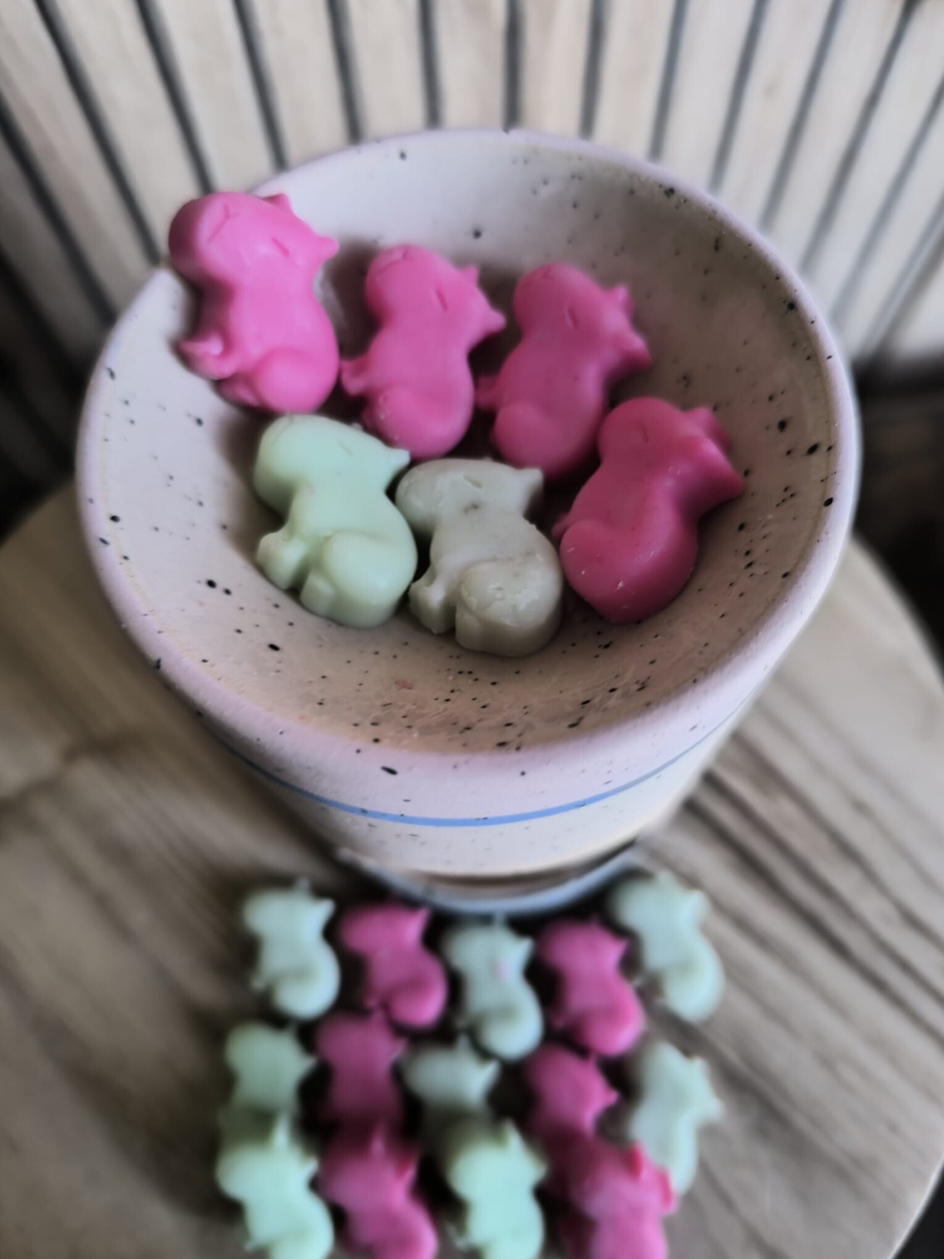 Wax melts Capibara - 2